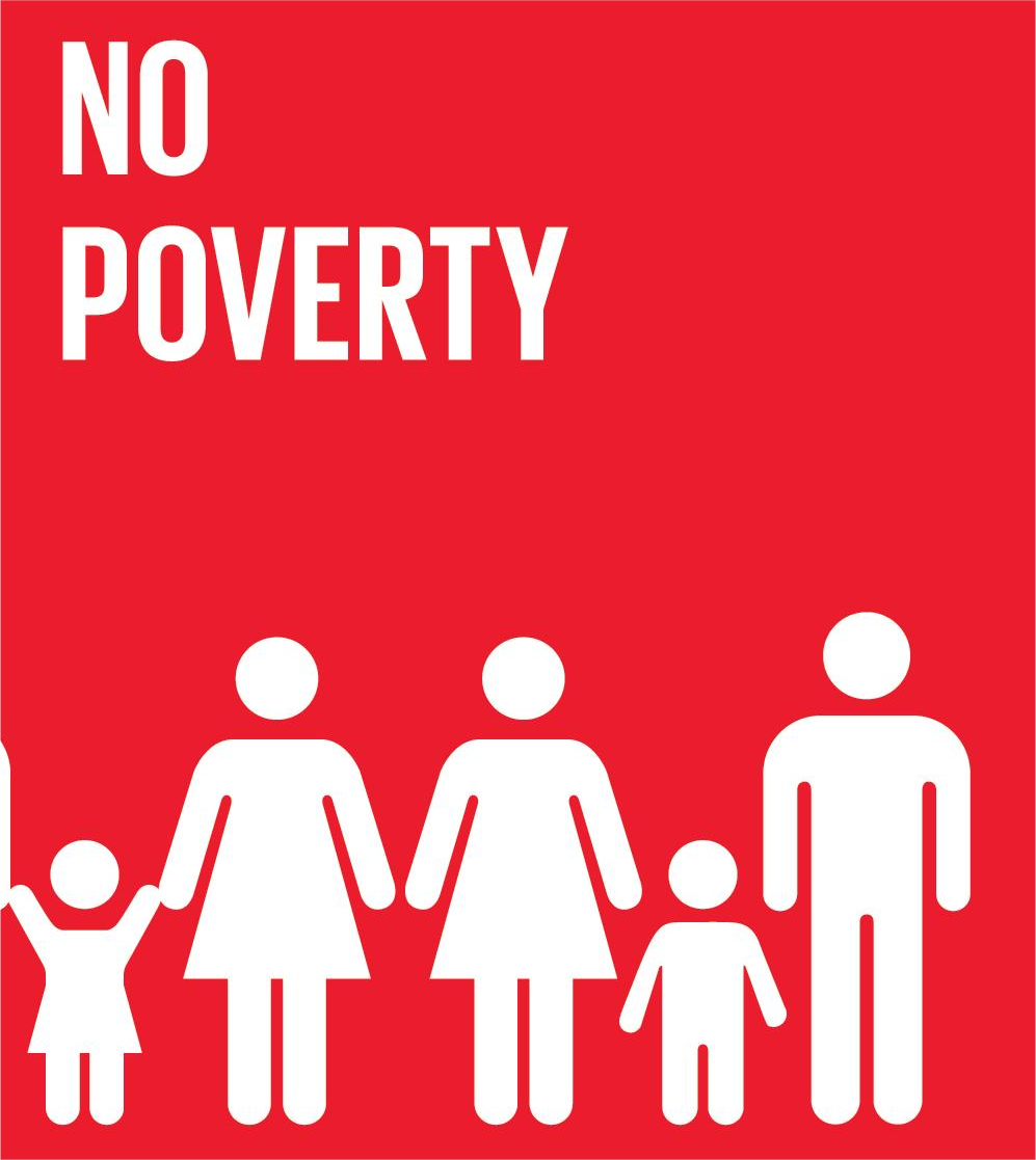 SDG 1 No Poverty