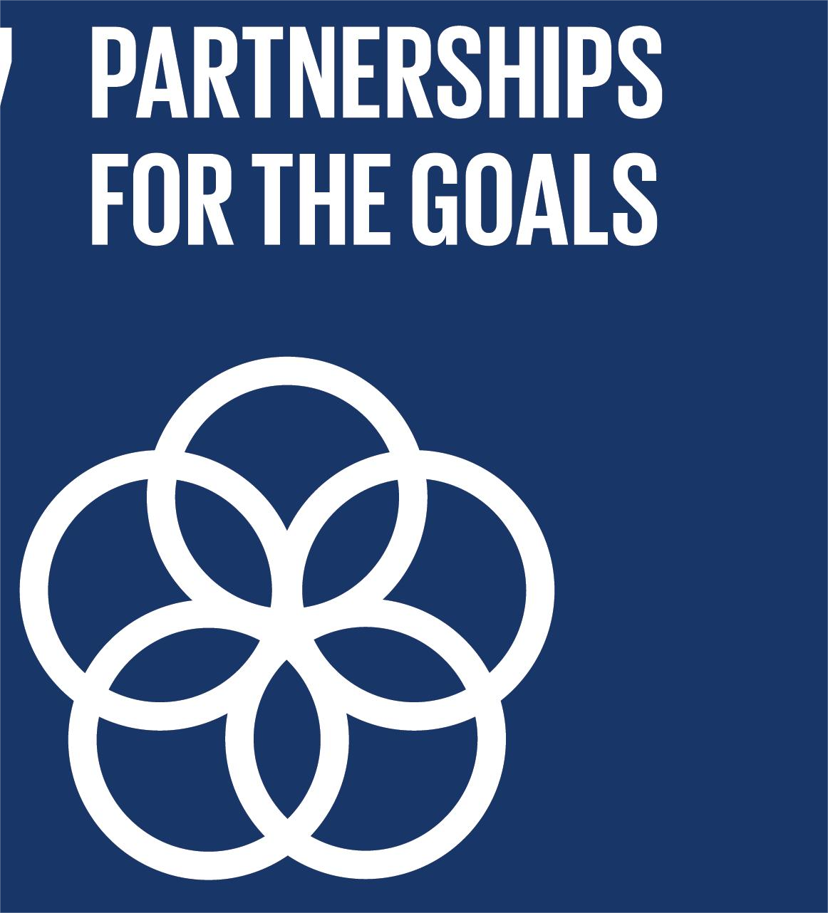 SDG 17 Partnerships