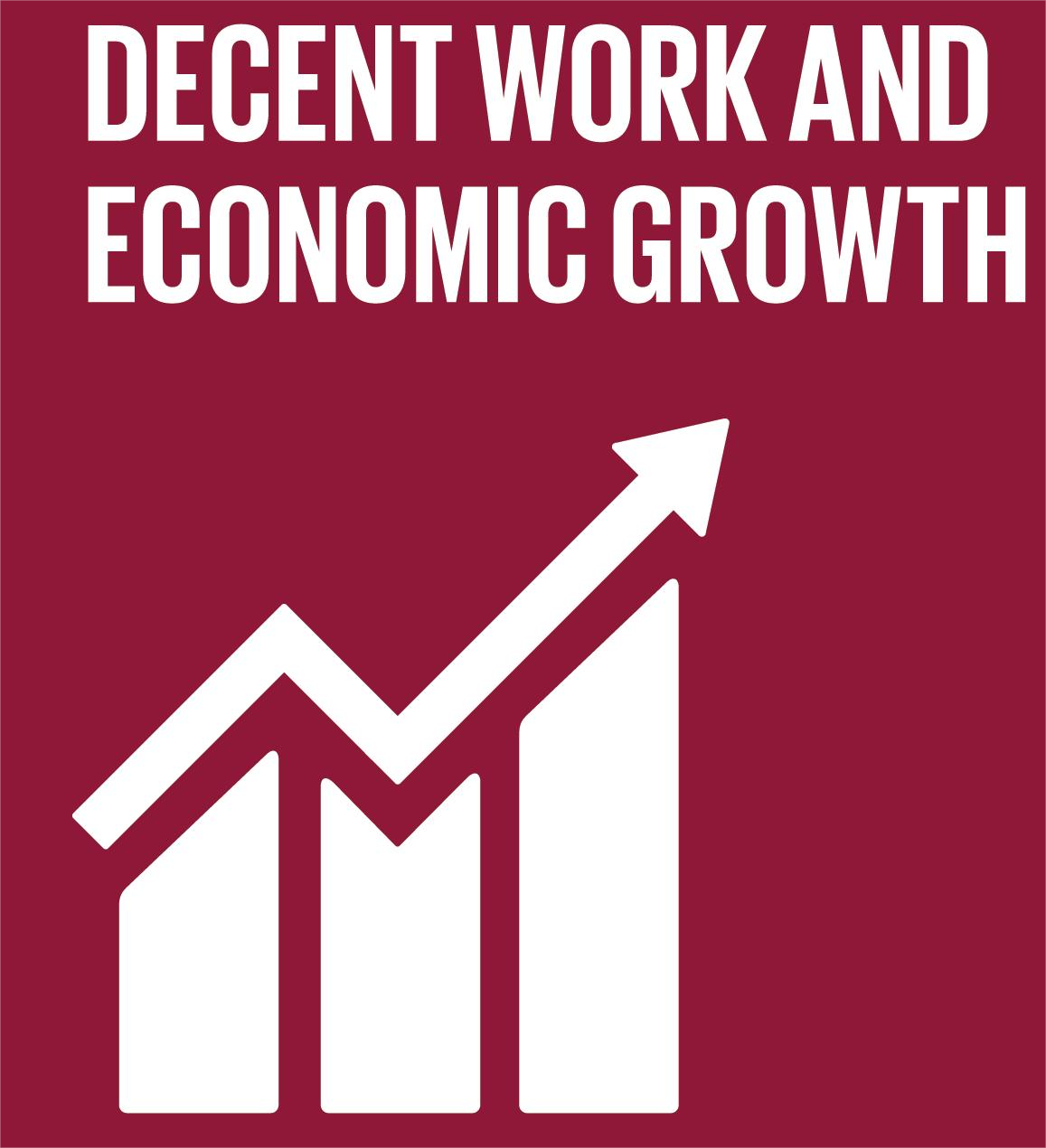 SDG 8 Decent Work