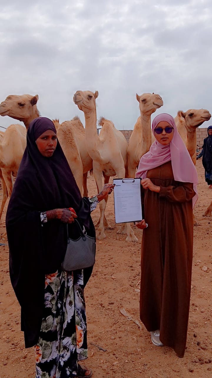 Livestock Financing